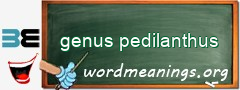 WordMeaning blackboard for genus pedilanthus